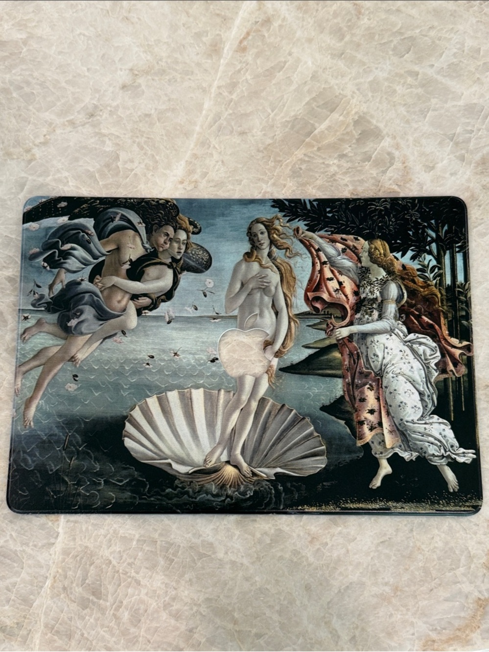 Laptop screen size: PRO 14 A2442/A2779; Case